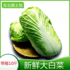 东北大白菜新鲜农家蔬菜小菜包心青菜整棵酸菜辣白菜5斤10斤包邮